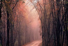 欧冠-哈兰德双响京东安破门 曼城3-3费耶诺德.