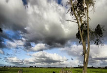 打花了!方硕助攻曾凡博空接上进&北京领先宁波37分.