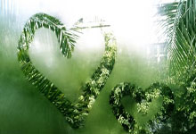 东升国际：[女]永川国际女锦标赛：中国VS乌兹别克斯坦.