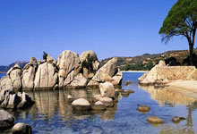 CBA技术代表辱骂杨鸣!身份曝光:上世纪结怨,被辽篮悍将扇耳光.